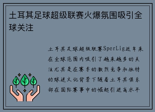 土耳其足球超级联赛火爆氛围吸引全球关注 土耳其足球超级联赛火爆氛围吸引全球关注